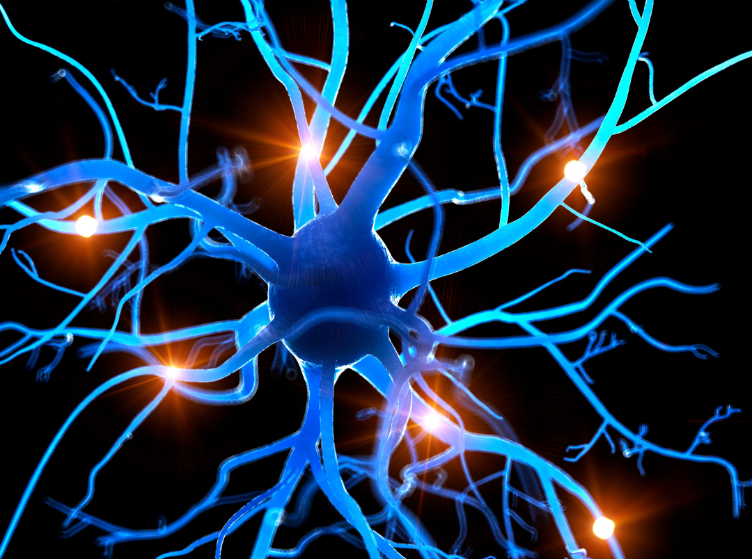 Nerve Damage